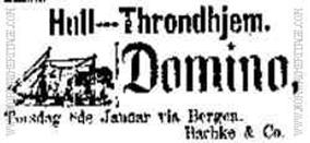 Domino Trondhjems Adressecontors Efterretninger 1880.jpg