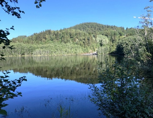 Månedens bilder 2022