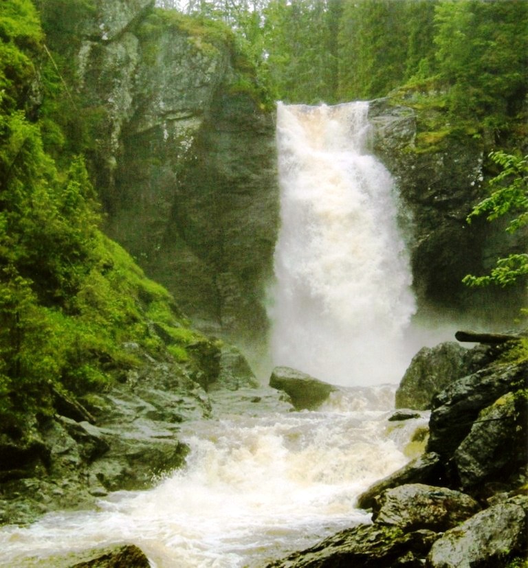 Månedens bilder 2020