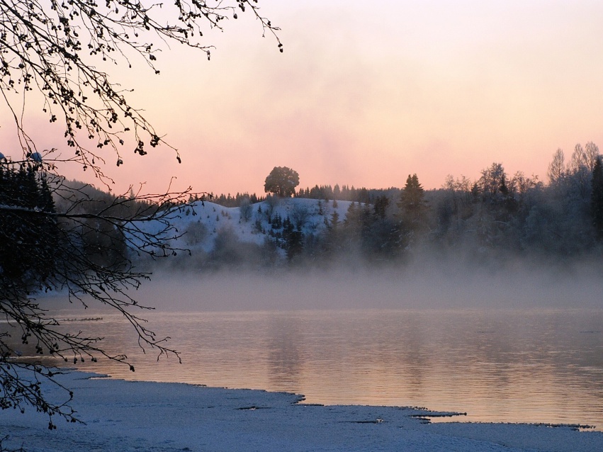 Månedens bilder 2011