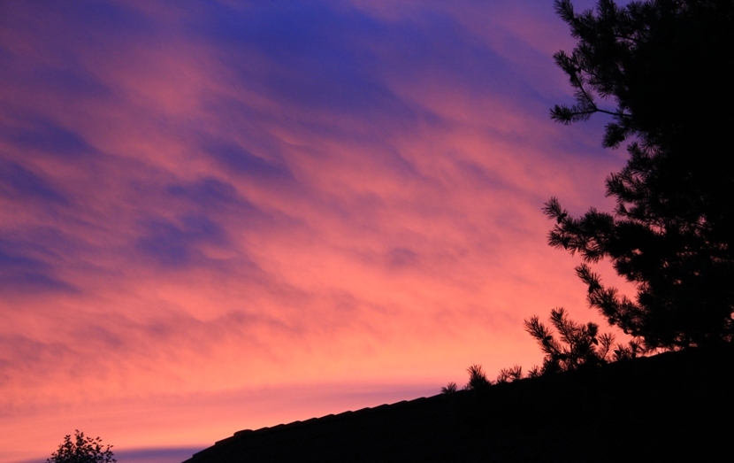 Månedens bilder 2014