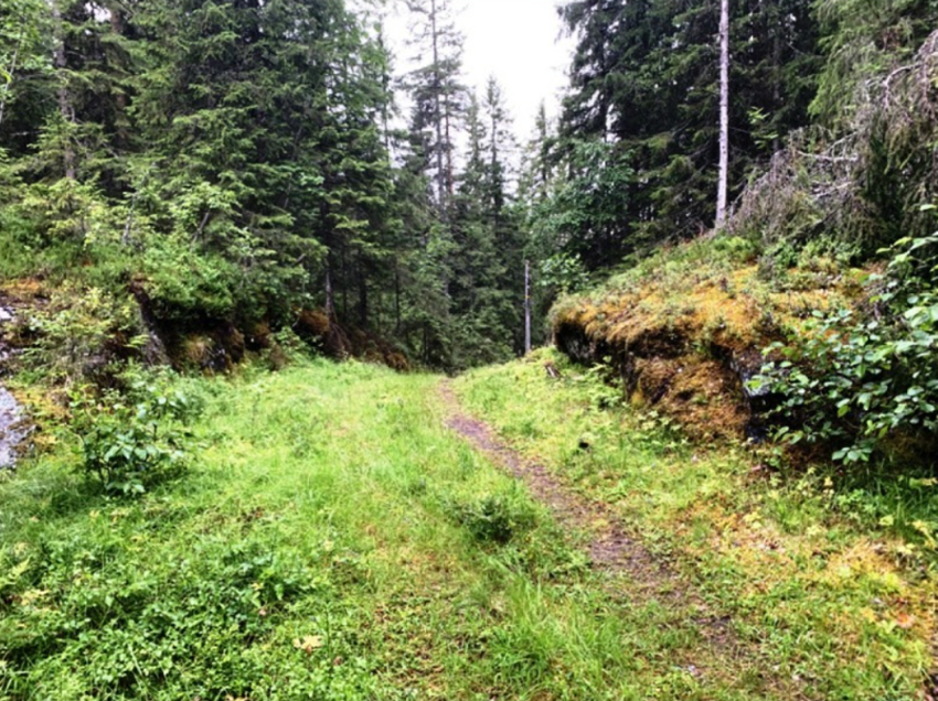 Månedens bilder 2021