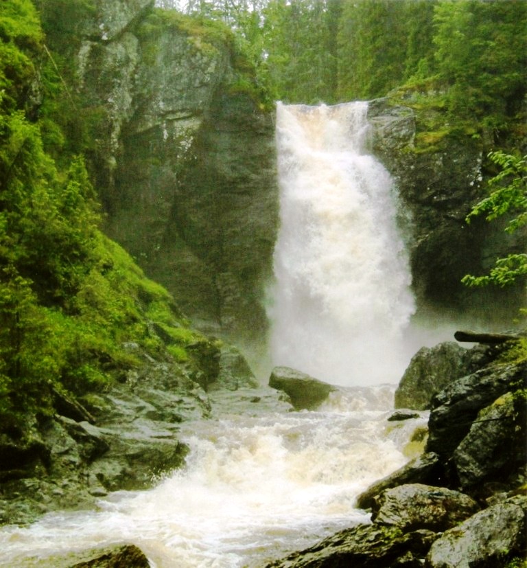 Artikkelbilde til artikkelen Månedens bilder 2020