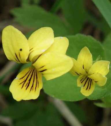 Artikkelbilde til artikkelen Månedens bilder 2019