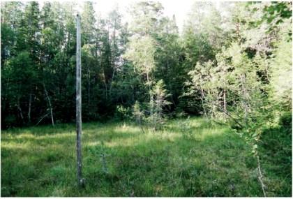 Artikkelbilde til artikkelen Månedens bilder 2017