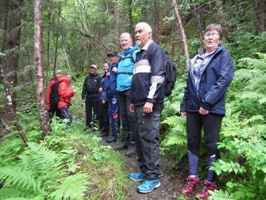 På setervei til Brøttemsvollen  -  14. juli 2020