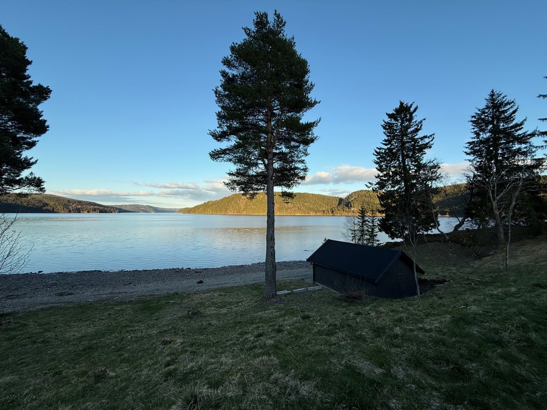 Dugnad på Teigen - 2025