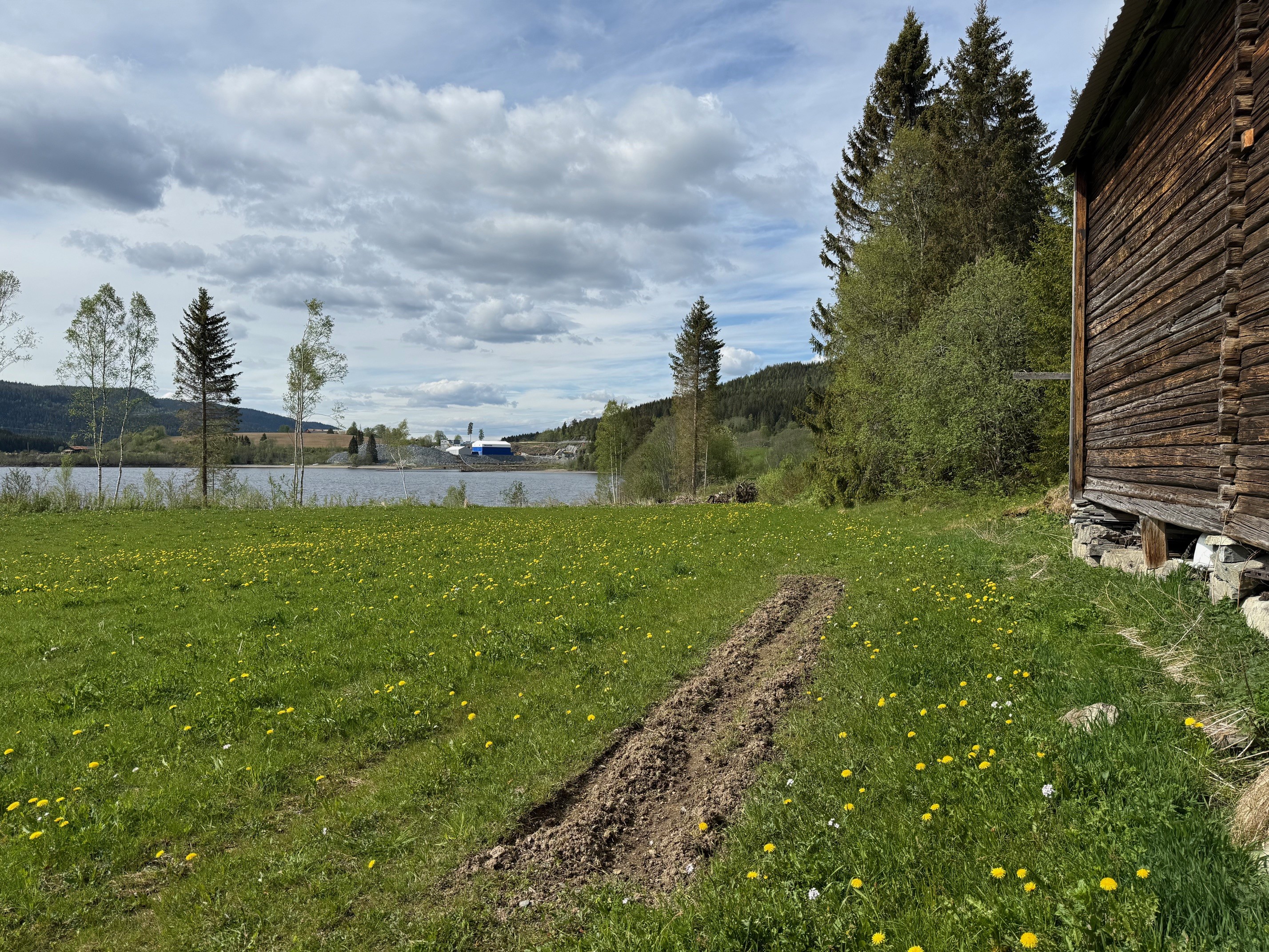 Artikkelbilde til artikkelen Potet, humle og rabarbra satt i jorda på Teigen
